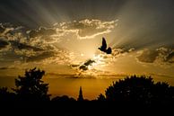 Amersfoortse zonsondergang von Sjoerd Mouissie Miniaturansicht