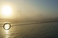 Willemsbrug Rotterdam