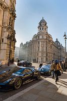 Westminsterr from a perspective