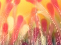 Abstract reverie