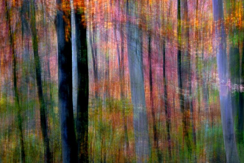 AUTUMN DAY 2 by Miroslav Ptacek