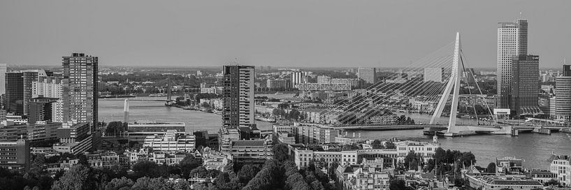 Skyline Rotterdam (n/b) par John Ouwens