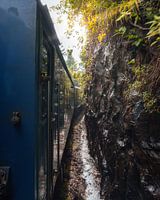 Sri Lankan Train through paradise