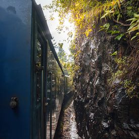 Sri Lankan Train through paradise van Ian Schepers