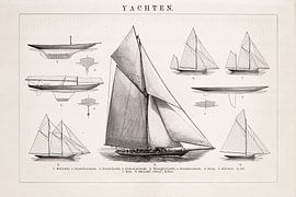 Vintage-Gravur Yachten von Studio Wunderkammer
