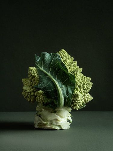 Romanesco sur Mariska Vereijken