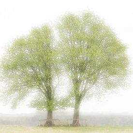 Tweeling bomen in voorjaarskleed von Boudewijn Swanenburg