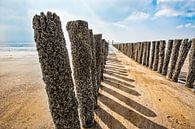 Zomer in Zeeland.Golfbreker op strand in Zeeland bij Dishoek. van Wout Kok thumbnail