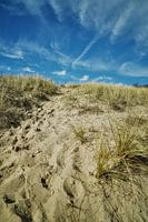 De Duinen van Vlissingen