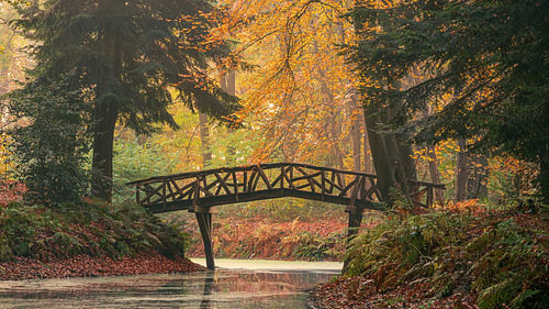 The little bridge in the Slochterbos near the Fraeylemaborg in Slochteren, bathed in autumnal atmosphere