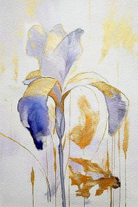 Blau blühende Iris, Serie: Blumen im Beet.