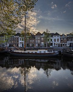 De Brede Haven, 's-Hertogenbosch van Goos den Biesen