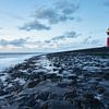 Vuurtoren bij Westkapelle von Michael Echteld