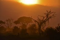 Zonsondergang in Amboseli National Park (Kenia) van Esther van der Linden thumbnail