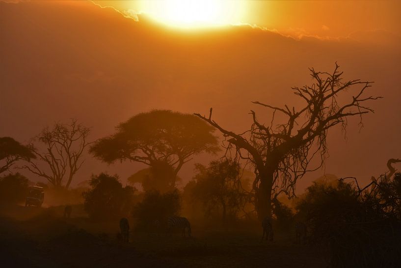 Zonsondergang in Amboseli National Park (Kenia) van Esther van der Linden