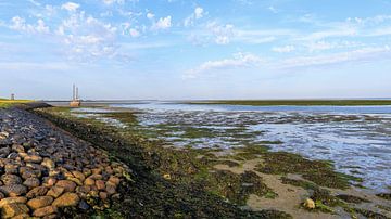 Das schöne Wattenmeer von Terschelling von Dan Photo Shaman