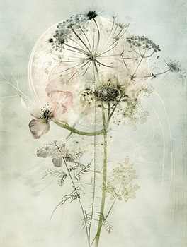 Modernes Stillleben mit Blumen im japanischen Stil