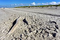 Sylt - Strandgut