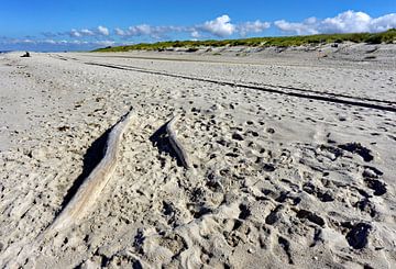 Sylt - Strandgut von JGS-DigitalArt