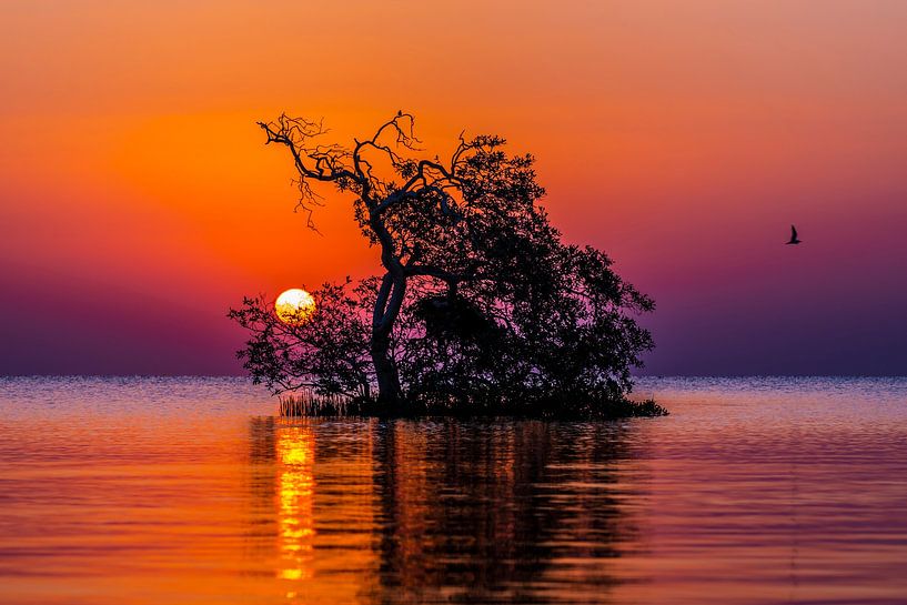Sunrise red sea, sunrise red sea by Corrine Ponsen