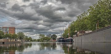 Piushaven 100 jaar