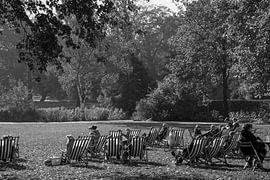 Autumn in the Park by Daan Pleijsier