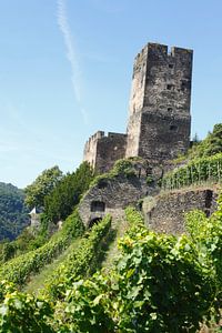 Burg Gutenfels, Kaub, Unesco Weltkulturerbe Oberes Mittelrheintal, Rheinland-Pfalz, Deutschland, Eur