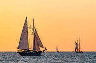 Segelschiffe im Sonnenuntergang auf der Hanse Sail in Rostock von Rico Ködder Miniaturansicht