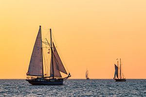 Segelschiffe im Sonnenuntergang auf der Hanse Sail in Rostock