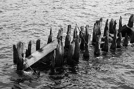 Holzbalken in Wasser von Yvonne Smits
