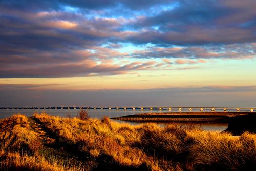 La Zélande colorée