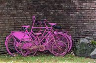 Rosa Fahrräder. von Els Oomis Miniaturansicht