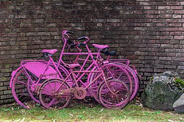 Rosa Fahrräder. von Els Oomis