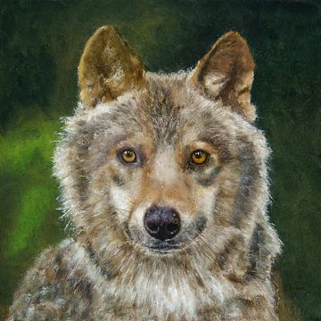 Wolf - beauty or beast by conny-van-gaans