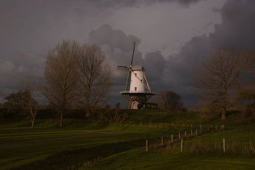 Molen de Koe in Veere