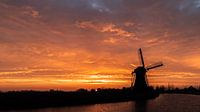 Quand le petit soleil se lève