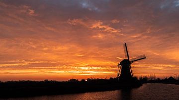 When the small sun rises van Zeb van Drie