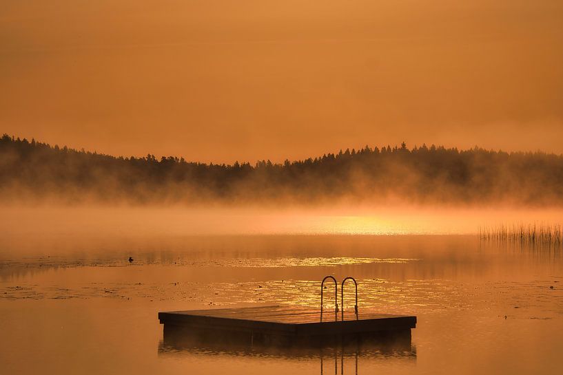 Floating island in a Swedish lake by Martin Köbsch