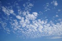 Schapenwolkjes in een blauwe lucht