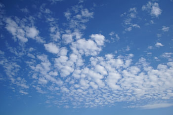 Schafwolken in einem blauen Himmel