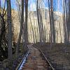 The Path van Cornelis (Cees) Cornelissen