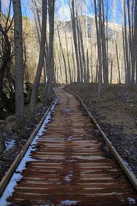 Le chemin sur Cornelis (Cees) Cornelissen