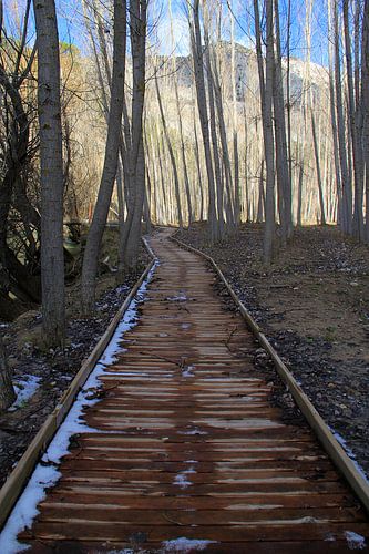 Le chemin