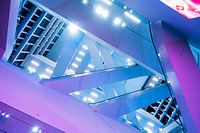 Elevator Jungle - Forum