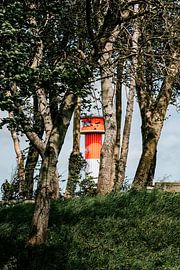 Mittendrin statt nur dabei von Heiko Westphalen