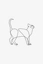 Cat Line Art by Walljar thumbnail