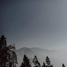 Hemelse Hoogten: De Majesteit van Sequoia National Park van Sharon Kastelijns