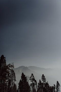 Les hauteurs célestes : la majesté du parc national de Sequoia sur Sharon Kastelijns