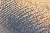shadow on the beach