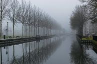 mooie reflectie van een rij bomen in het water van Patrick Verhoef thumbnail